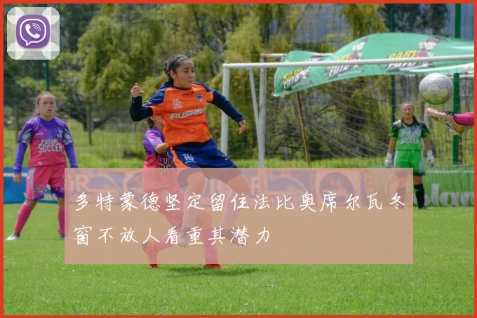 多特蒙德坚定留住法比奥席尔瓦冬窗不放人看重其潜力