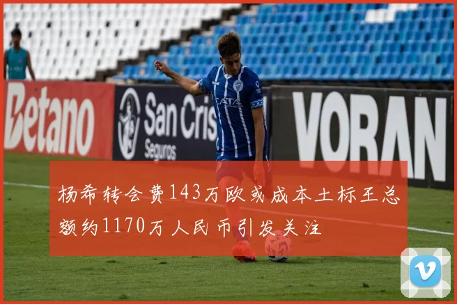 杨希转会费143万欧或成本土标王总额约1170万人民币引发关注